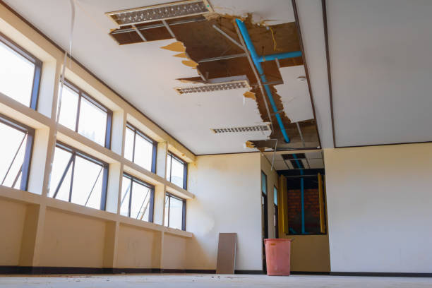 Best Water damage restoration company  in Bryn Athyn, PA