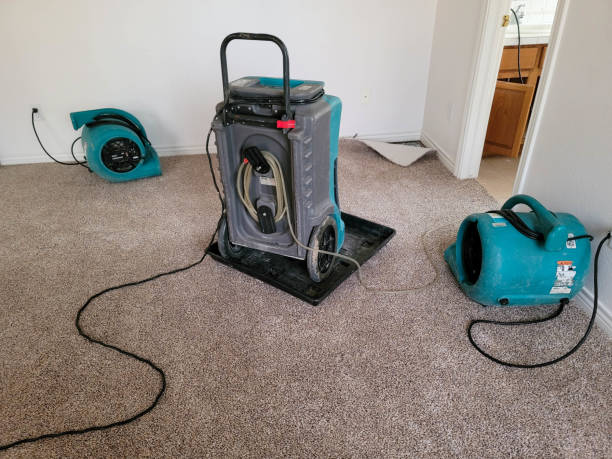 Best 24/7 water damage repair  in Bryn Athyn, PA