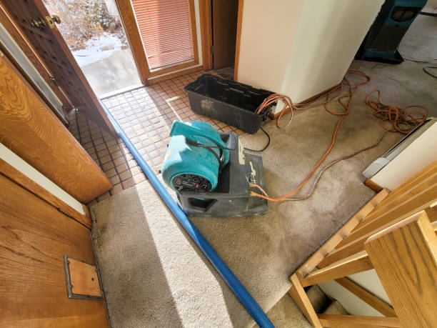Best Water damage restoration cost  in Bryn Athyn, PA