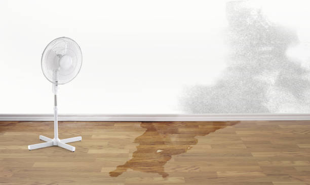Best Local water damage restoration  in Bryn Athyn, PA