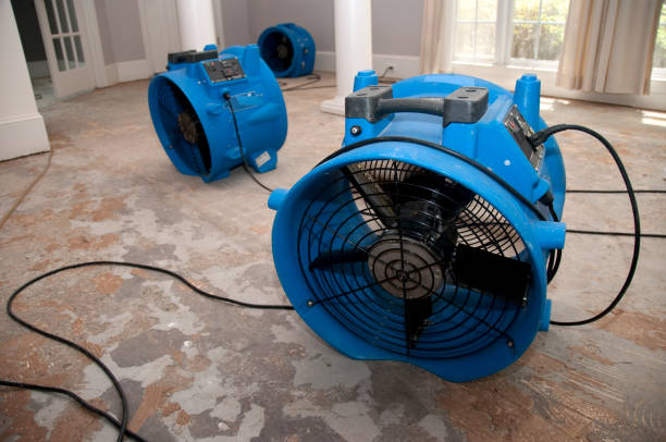 Best Ceiling water damage repair  in Bryn Athyn, PA