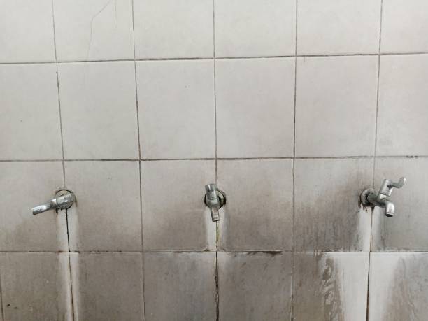 Best Local water damage restoration  in Bryn Athyn, PA