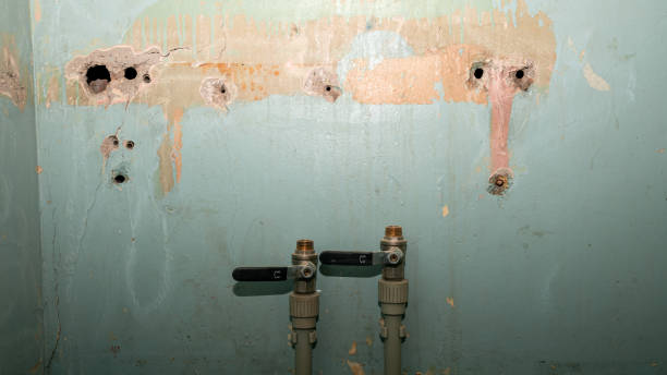 Trusted Bryn Athyn, PA Water damage restoration Experts