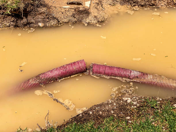 Best Water damage restoration near me  in Bryn Athyn, PA